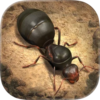 The Ants